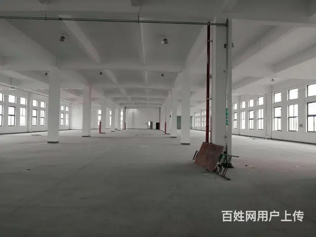 金阳路边出租一楼厂房600平700平800平，原房东丙类消防 - 图片 2