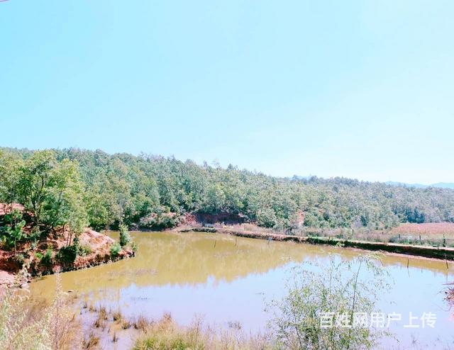 4800（商客网）楚雄武定2000亩大型农庄转让的图片