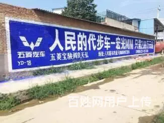 芜湖涂料墙体广告,芜湖涂料墙体广告,巢湖墙体广告 - 图片 4
