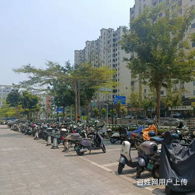 （51旺铺推荐）低价转让学院路216平铺面 - 图片 5
