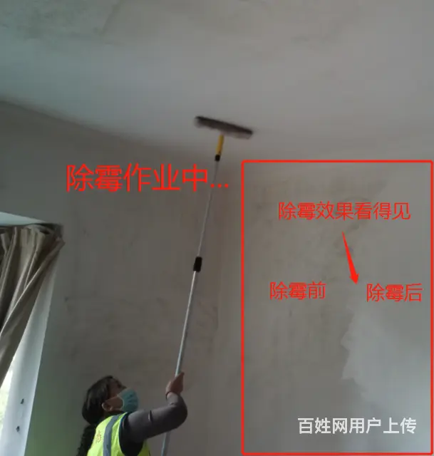 广州上门除霉公司，越秀区正规除发霉，办公室除霉服务 - 图片 9