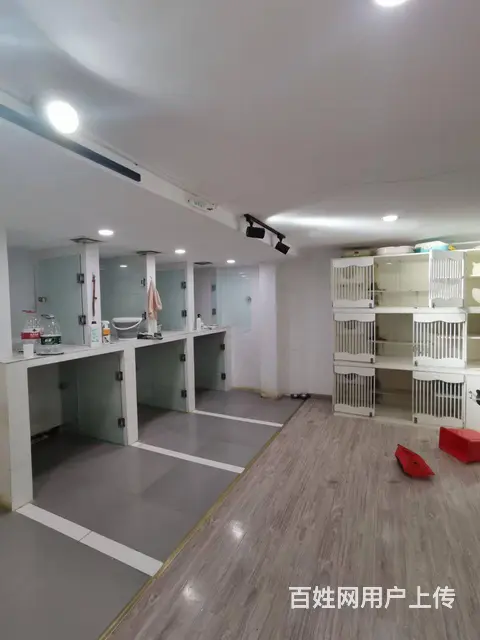 XN 青羊区万家湾 社区旺铺转让 周边中高端社区环绕 人气旺 - 图片 5