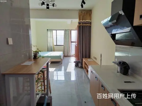 都市经典 普通住宅1厅 精装修 - 图片 3
