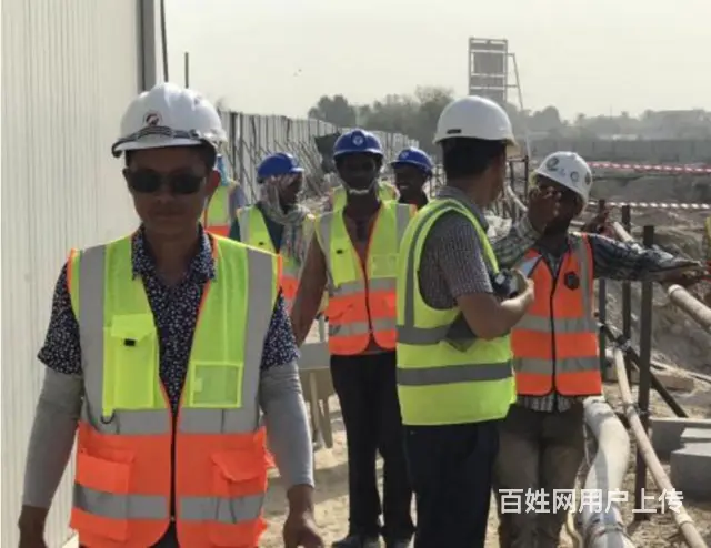 出国打工-新西兰农场工，月薪3万起，雇主保签 - 图片 6