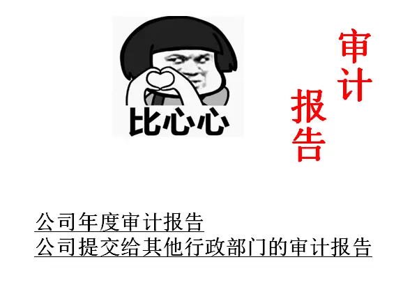 做2023年度贴防伪标识的审计报告多少钱？ - 图片 6