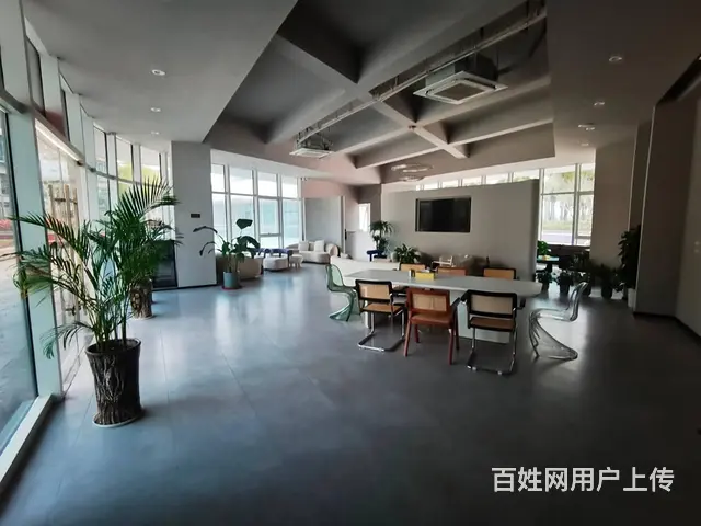 （51旺铺推荐）碧桂园中央半岛（独栋精装办公楼）出租 - 图片 1