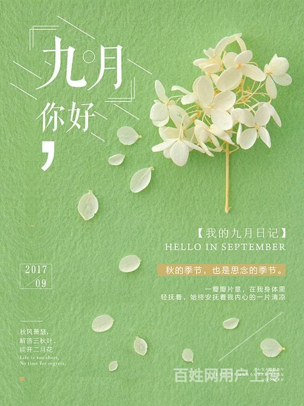 朝阳精美高档包装盒,手提袋,个性名片印刷,送货上门