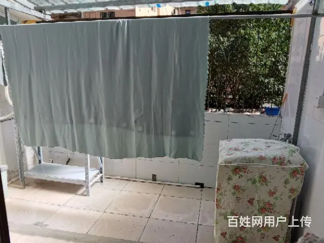 【搞定了！】南门小学附近 - 图片 9