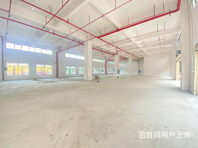 （房东直租）浏阳淳口镇大型商铺，厂房，仓库招租，可分租 - 图片 8