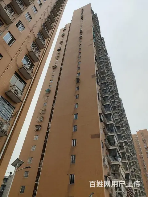 5号线科普公园奥山世纪城武汉科技大学武商奥莱林秀家 - 图片 12