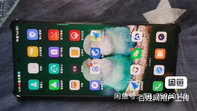 努比亚 - 图片 7
