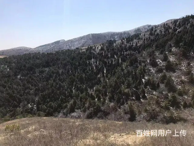 山林出售出租 - 图片 10