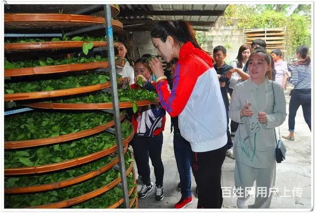 长春茶艺培训问天晟茶艺培训学校：茶艺培训班招生简章 - 图片 6