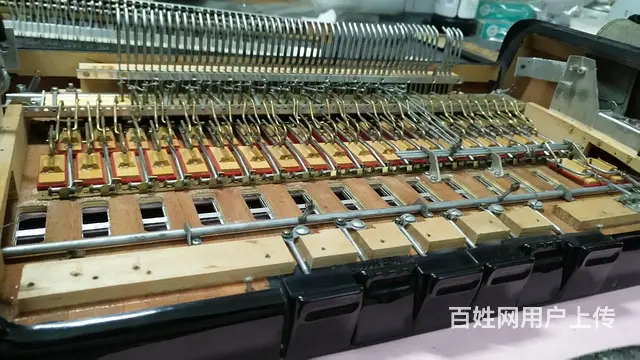 鹦鹉手风琴维修服务，专业百乐金杯鹦鹉手风琴维修 - 图片 3