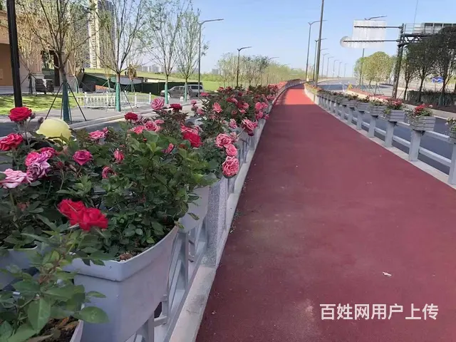 沈阳马鞍式花盆护栏挂盆生产厂家空中花廊景观种植盆 - 图片 6