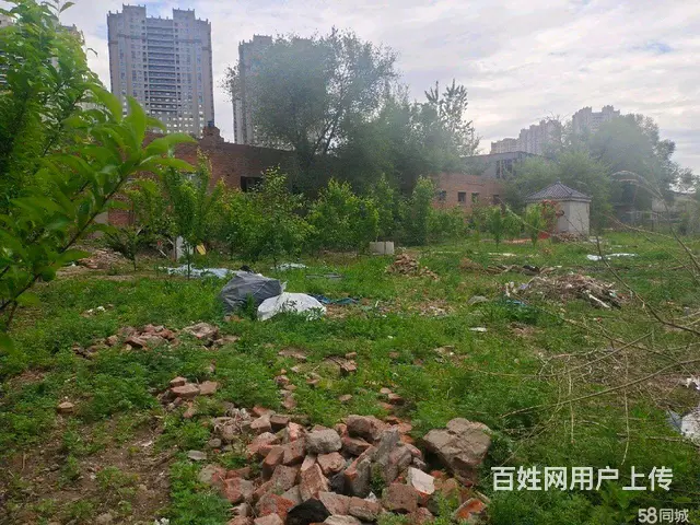 南岗哈西西铁街厂房场地暖库出租 - 图片 10