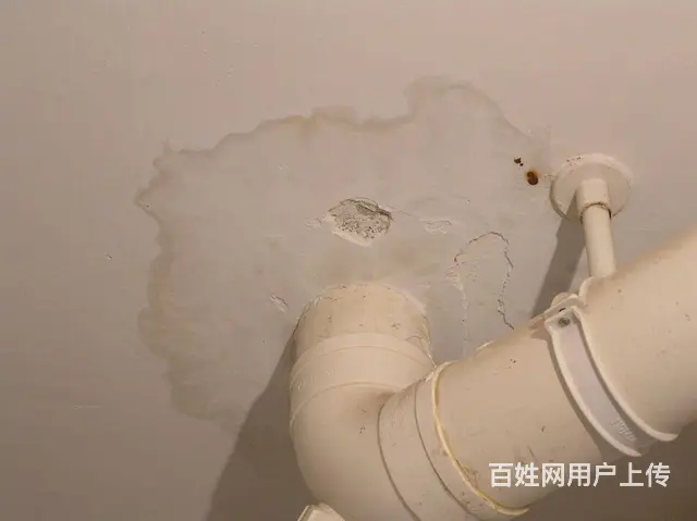 徐闻县房屋堵漏防水,洗手间渗水维修,免费上门斟查 - 图片