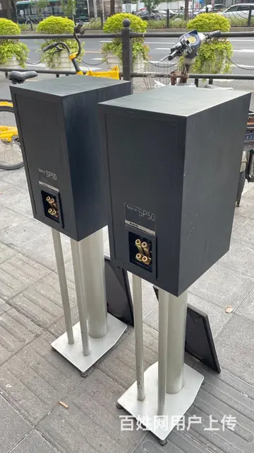 英国原装进口优雅二分频低音6.5寸高端发烧音箱 - 图片 8