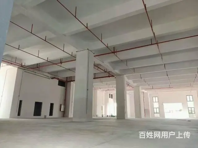 出租遂溪县城仓库厂房面积800平1000平2千平方 - 图片 1