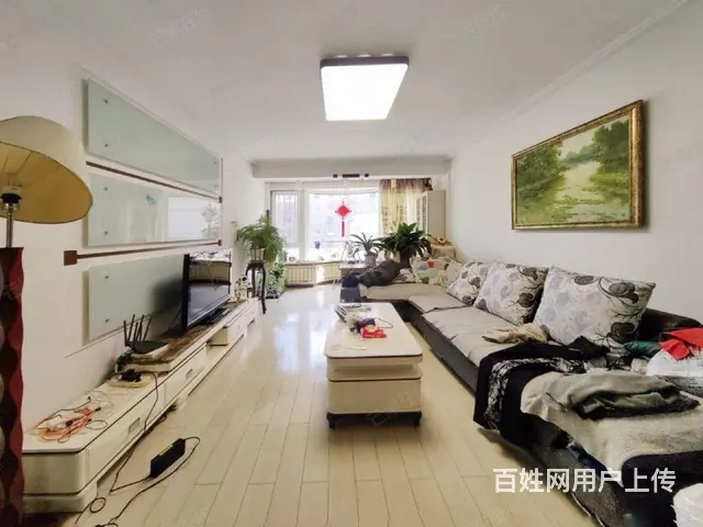 东中街大悦城地铁口，电梯小高层，精装修南北通透不把不临 - 图片 1