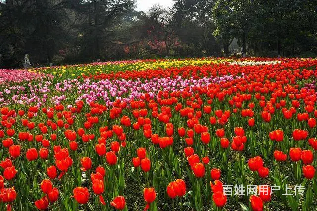 河南地基一机电安装一资质代办转让 郑州地基一转让 - 图片 2