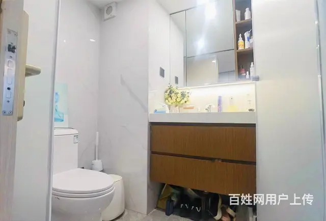 临平中顺新澜悦次新小区..大1房1卫户型. - 图片 3