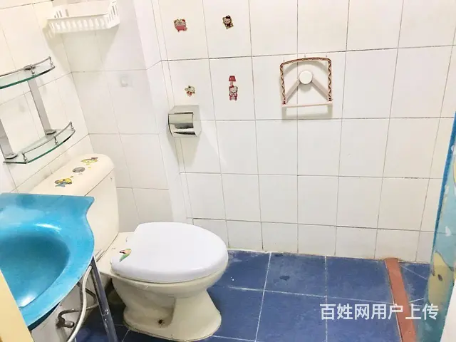 白天鹅花园 南向 朝花园 你温柔向我看来 情思激战 - 图片 10