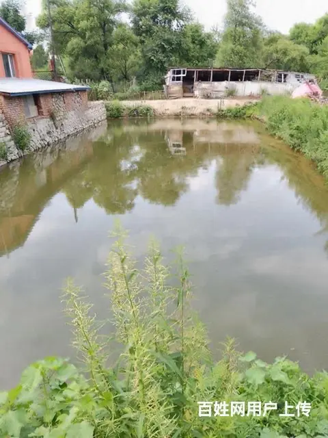 山庄吉卖，吉租 - 图片 11