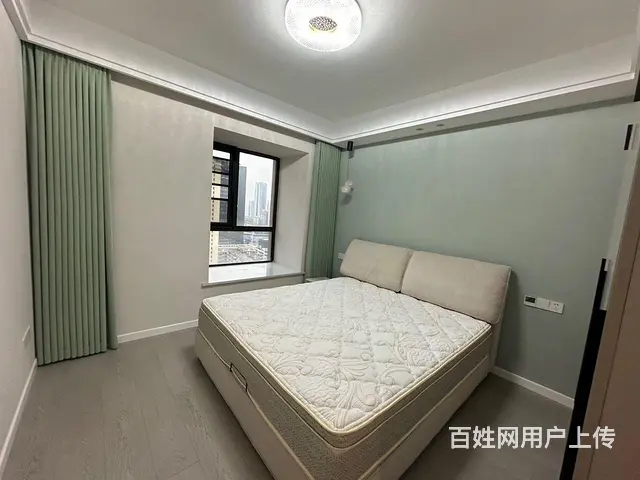 全屋定制 岳家嘴地铁口德成国贸 山河大厦 金禾高档 - 图片 11