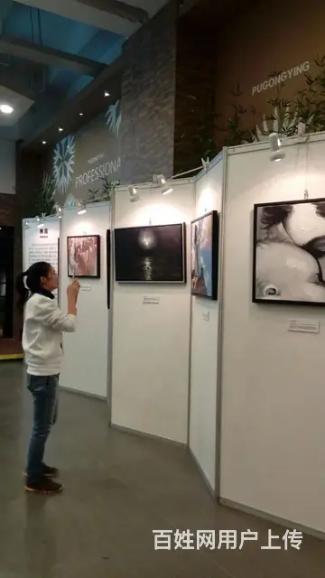 -!苏州画展展架出租，挂画展架展板，展墙，搭建，布 - 图片