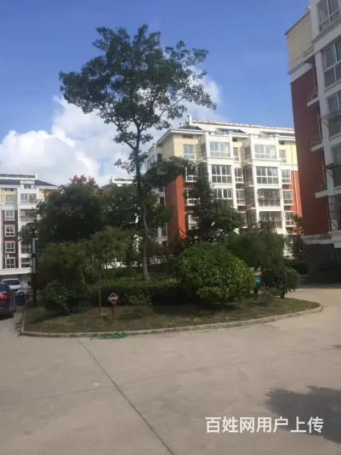 江苏盐城大丰住宅/首付2万/首付2万/首付2万 - 图片 2