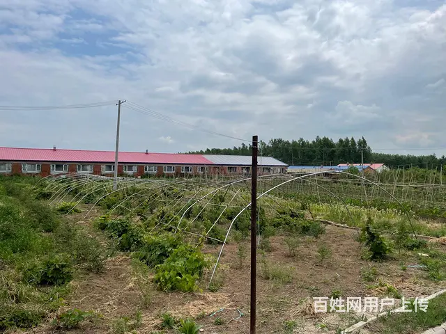 厂房养殖场出卖 - 图片 3