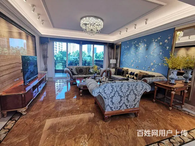 清盘价 奥体轻轨站196平碧桂园十里春风 大开间大阳台近南京 - 图片 10