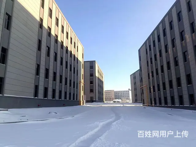 会展片区新盖厂房低价出售 - 图片 3