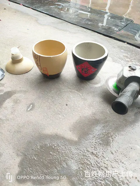 黄荆，中华野生红枸杞盆景，酒瓶花盆 - 图片 8