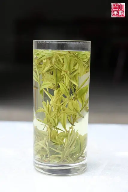 安吉白茶 明前精品茶 小戴白茶 原产地直销 - 图片 4