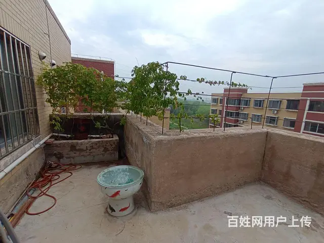 新柳城小区E区，邻包入住 - 图片 8