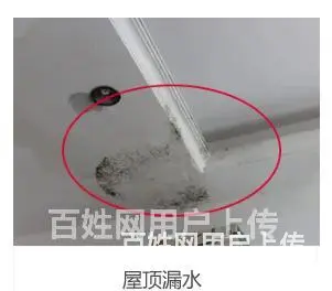 攀枝花防水补漏电话号码|屋顶隔热防水 - 图片 2