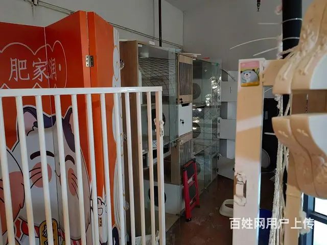 （51旺铺推荐）保利中央海岸熙园150平宠物店转让 - 图片 2