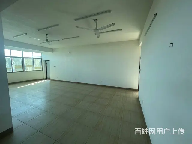 （51旺铺推荐）美兰区新埠岛650平整栋出租 - 图片 3