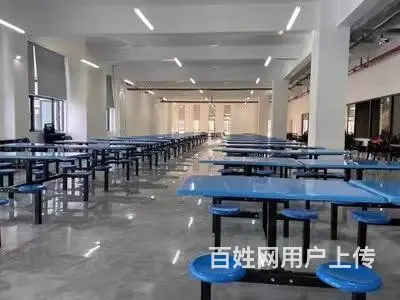 员工工地食堂连体餐桌椅学校食堂快餐店一体座桌椅 - 图片 3