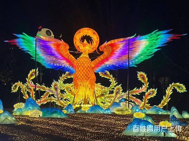 承接2025节日庆典花灯彩灯灯光秀 - 图片 3
