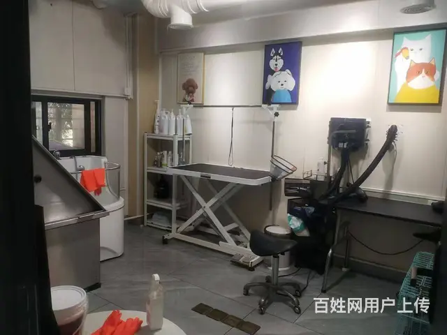 （51旺铺推荐）龙昆南悦城135平宠物店转让 - 图片 10