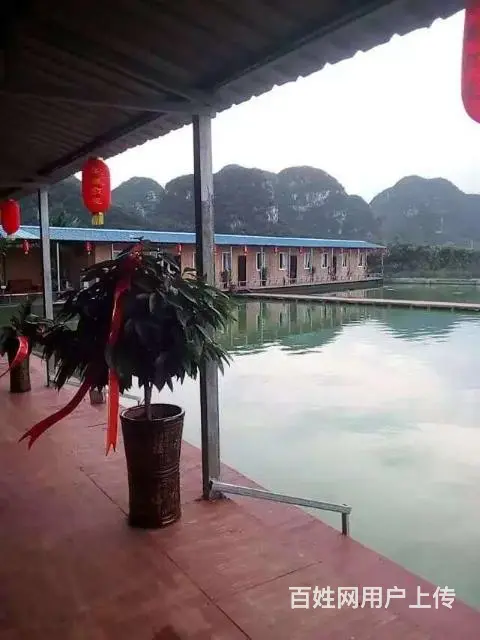 农庄钓场出售 - 图片 1
