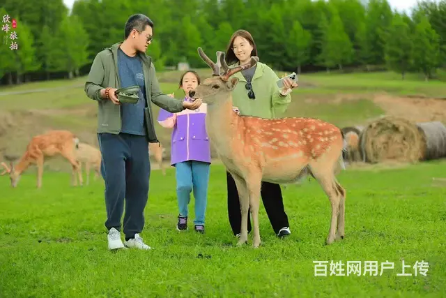 呼伦贝尔旅游包车费用全线旅游包车拼车 - 图片 1