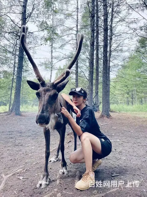 呼伦贝尔大草原旅游巴特尔靠谱 - 图片 1