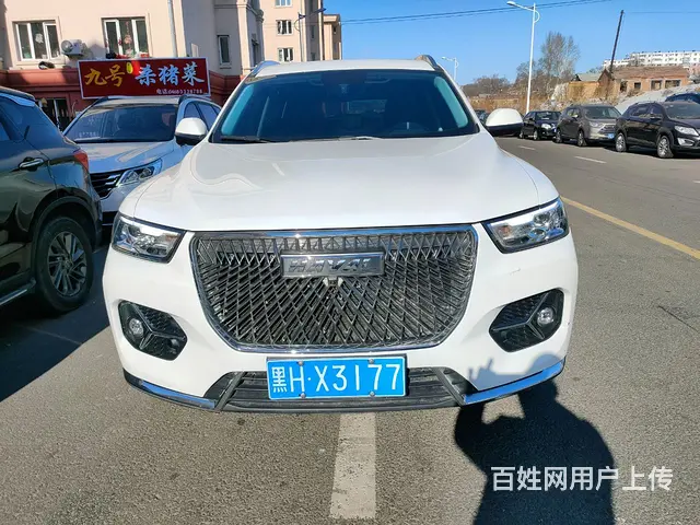 哈弗H6 2020款 1.5GDIT 双离合 铂金冠军版 - 图片 1