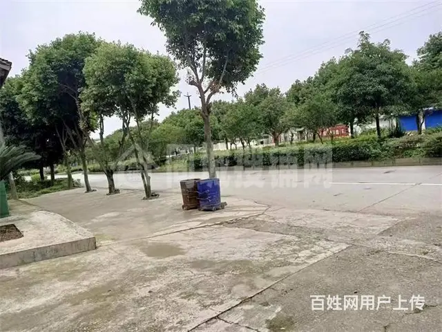 绵竹板桥复兴村3800平厂房出租 - 图片 1