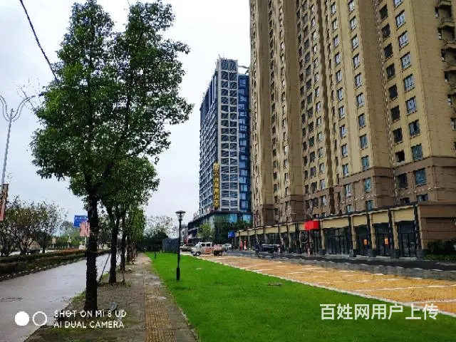 自购高层社区底商，适合夫妻创业店，小公司办公室接待 - 图片 3