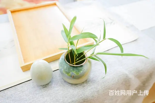 苏州姑苏区茶艺师补贴需要什么条件 - 图片 4